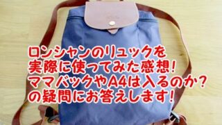 ロンシャン リュックは使いにくい 何がいいの 使い勝手や人気色 サイズ感 大きさ を解説 コレってどうなの